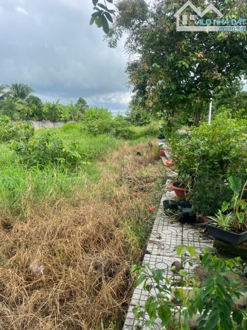 ✅ Bán đất thổ lô D8 thuộc KDC An Nhiên , Phường 6 , TP Tân An _ Diện Tích : 5 x 19.2m2 - 3