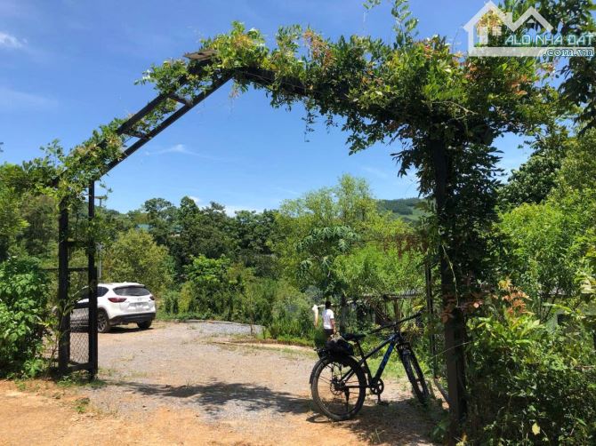NGHỈ DƯỠNG,HOMESTAY LƯNG TỰA ĐỒI, SUỐI ĐẦU NGUỒN CHẢY QUA ĐẤT 6600M 5,6 TỶ ĐÀ BẮC HOÀ BÌNH - 4
