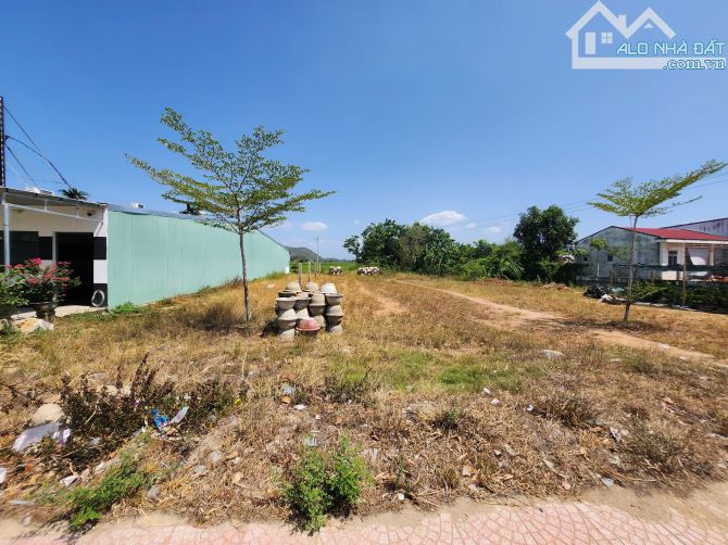 Bán đất Nhơn Phong, MT đường DT631, thị xã An Nhơn cũ. Chỉ 6,7 triệu/m2 - 4