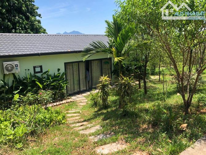 NGHỈ DƯỠNG,HOMESTAY LƯNG TỰA ĐỒI, SUỐI ĐẦU NGUỒN CHẢY QUA ĐẤT 6600M 5,6 TỶ ĐÀ BẮC HOÀ BÌNH - 5
