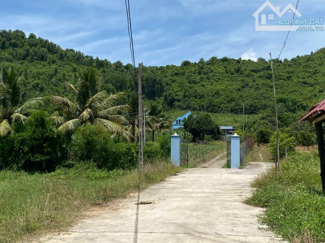 Cần Bán Gấp Lô Đất diên thọ 3570m - cách tỉnh lộ 2 70m - QH full thổ - 5