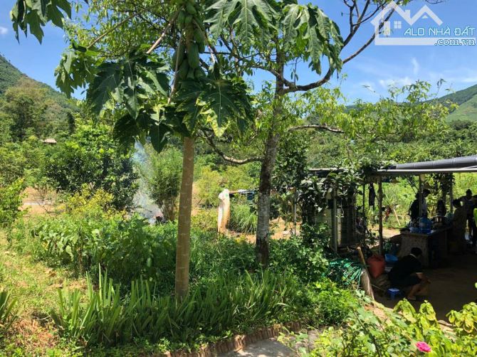 NGHỈ DƯỠNG,HOMESTAY LƯNG TỰA ĐỒI, SUỐI ĐẦU NGUỒN CHẢY QUA ĐẤT 6600M 5,6 TỶ ĐÀ BẮC HOÀ BÌNH - 6