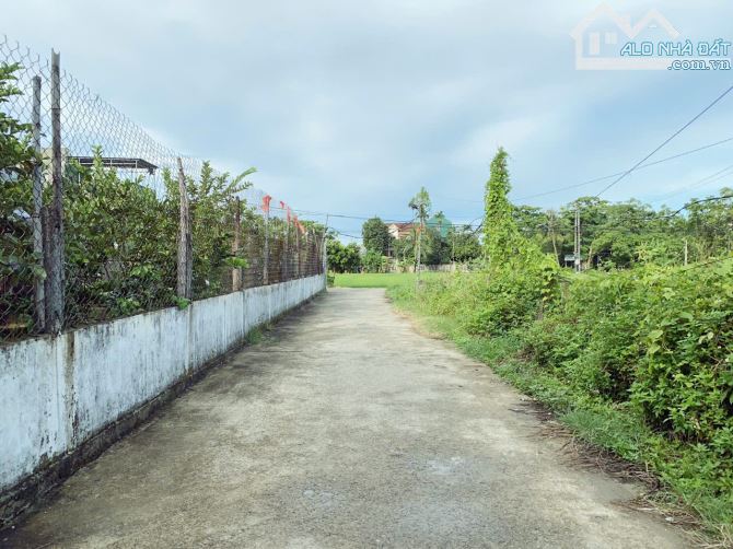 Bán lô đất 80m2 xóm 6 ngọc anh, P Mỹ Thượng, TP Huế gần Tỉnh Lộ 10, Khu vực đẹp - 7