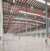 Cho thuê xưởng 5000m2, 8000m2, 12.000m2 ngay KCN Long Hậu, KCN Tân Kim, Cần Giuộc, Long An