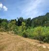 NGHỈ DƯỠNG,HOMESTAY LƯNG TỰA ĐỒI, SUỐI ĐẦU NGUỒN CHẢY QUA ĐẤT 6600M 5,6 TỶ ĐÀ BẮC HOÀ BÌNH