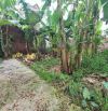 GIÁ NHỎ XINH 🏡 BÁN ĐẤT LỆ CHI - GIA LÂM – VUÔNG VẮN - THOÁNG TRƯỚC SAU – 82M² 💸 2.08 TỶ