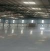 cho thuê kho xưởng kcn CHU LAI NÚI THÀNH dt 1000 /20.000m2