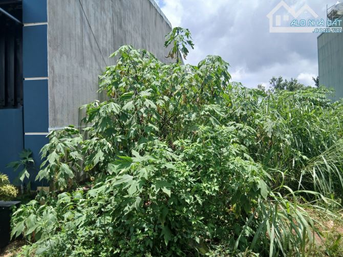 Bán đất hẻm Bế Văn Đàn - Phường Hội Phú - Gia Lai