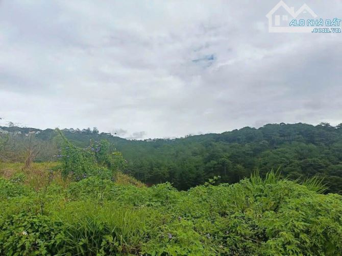 Đất Biệt Thự Hoàng Hoa Thám -  P10 -  500m2- 18.5 tỷ - view thông CÓ 1 KHÔNG 2