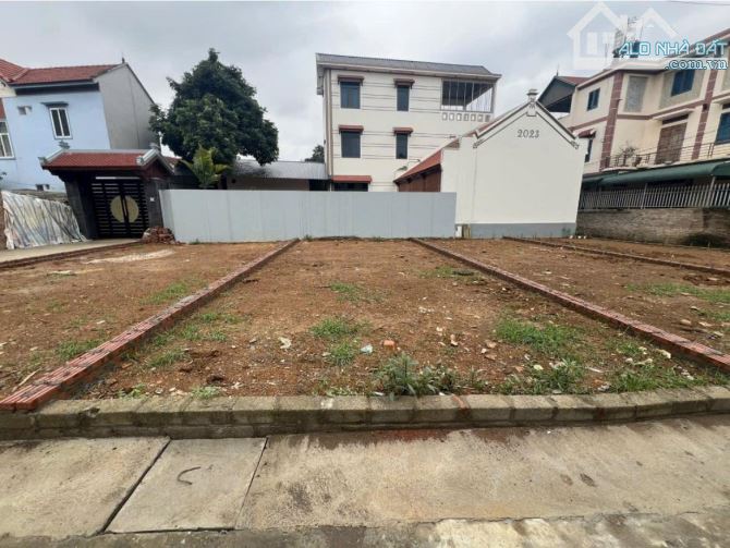 Bán đất bãi tắm Giao Phong view Flamingo 81m2 MT4.8m ô tô kinh doanh giá tốt - 3