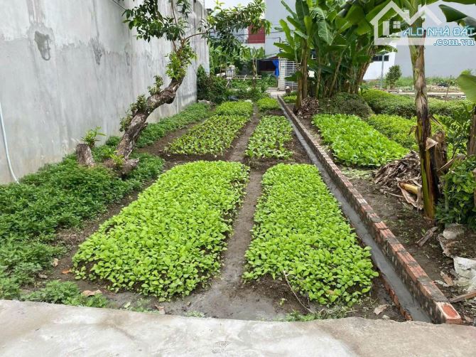 Bán lô đất  DT 99.50M ngang 4.5 Tràng Cát Hải An