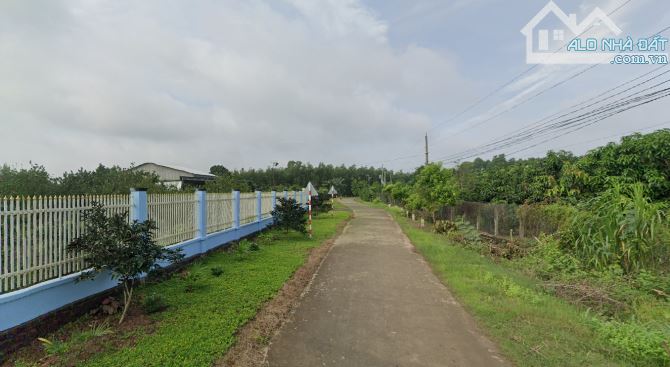 BÁN VƯỜN SẦU RIÊNG ,MÍT RUỘT ĐỎ 15,000M2 MẶT TIỀN BÊ TÔNG KHU DÂN CƯ CHỈ 5TỶ2
