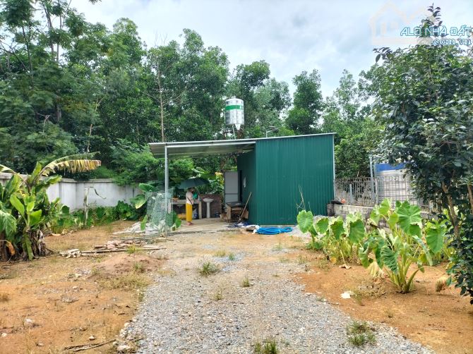 BÁN GẤP LÔ ĐẤT VỊ TRÍ ĐẸP – XÃ CỔ ĐÔNG, SƠN TÂY, HÀ NỘI – 400M² VUÔNG VỨC – CHỈ 6,5 TỶ TL - 2
