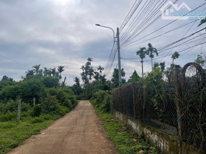 PHƯỜNG TÂN AN – ĐẤT DÀI, GIÁ ĐẸP – PHÙ HỢP MUA Ở HOẶC ĐẦU TƯ ĐỂ DÀNH - 1