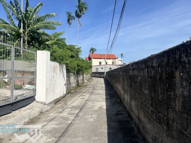 Bán đất kèm nhà 77m thôn 4A Tân Dương ngay sau 1 nhà mặt đường ngõ ô tô đỗ cửa. - 1
