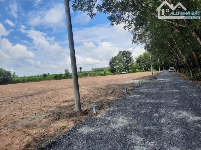 Đất nền phước minh Tây Ninh 5x30 full thổ cư, sổ hồng riêng...chỉ 280 triệu 1 lô - 1