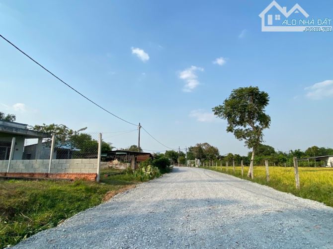 Cần bán đất mặt tiền đường trải đá 6m xã Trung Lập Hạ Củ Chi 10x30 thổ cư 278m2 - 1