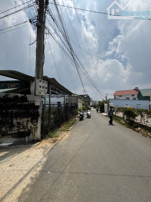 Bán đất cao thắng phường Langbiang TP Đà Lạt (p7 cũ) TP Đà Lạt. - 1