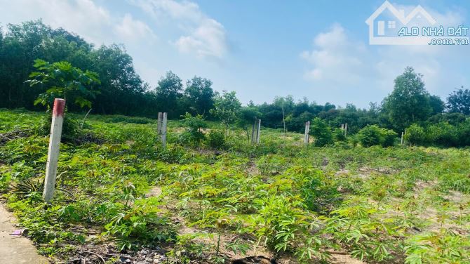 BÁN ĐẤT LÔ 2 QUỐC LỘ 55 – SƠN MỸ, HÀM TÂN – CHỈ 85TR/M NGANG - 1