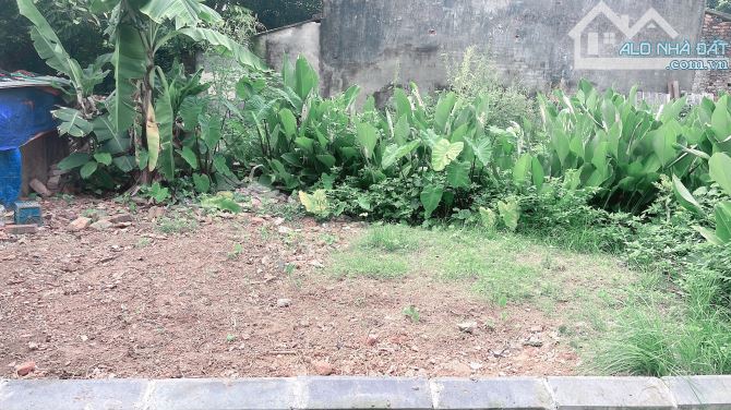 Tài chính nhỏ Tằng My-Phúc Thịnh-Hà Nội 40m lô góc ô tô 7c vào đất - 1