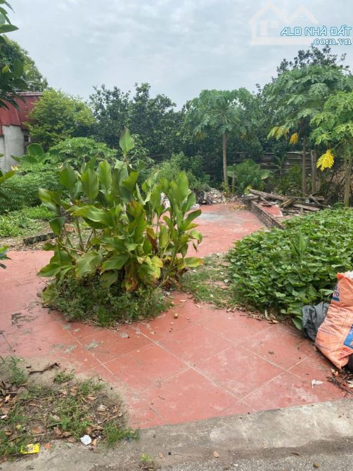 🔥 BÁN LÔ ĐẤT TRỤC CHÍNH NINH XÁ – ĐẸP KHÓ TÌM 🔥 - 1