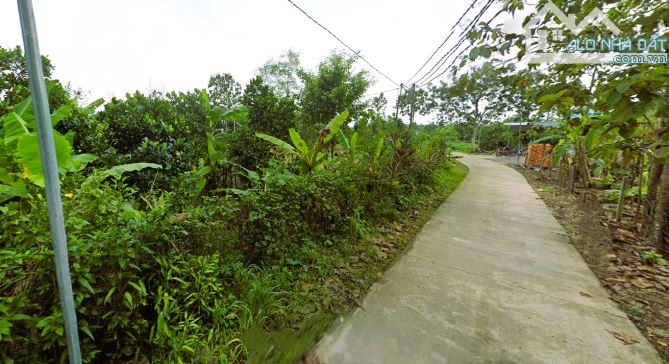 Lô đất 2 mặt tiền khu dân cư 3202m2 có sẵn 140m2 thổ cư đường bê tông xã Gia Canh 1ty950 - 2