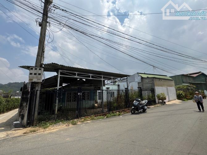 Bán đất cao thắng phường Langbiang TP Đà Lạt (p7 cũ) TP Đà Lạt. - 2