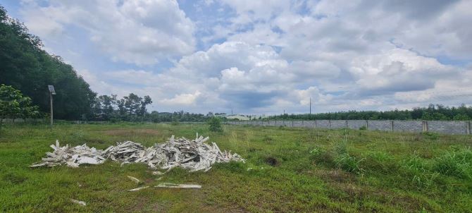 Bán nhà xưởng sản xuất rộng 16.000m2 gần Vedan Long Thành Đồng Nai giá rẻ - 3