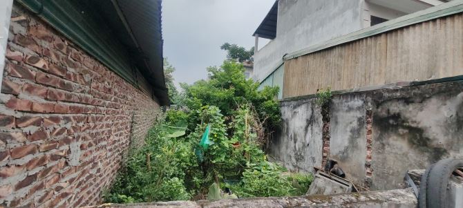 EM HOA HẬU SIÊU ĐẸP TÌM CHỦ MỚI-MAI LÂM-ĐÔNG ANH-DT113M2–MT4.5M-NHỈNH10.5TỶ CÓ THƯƠNG LƯỢG - 3