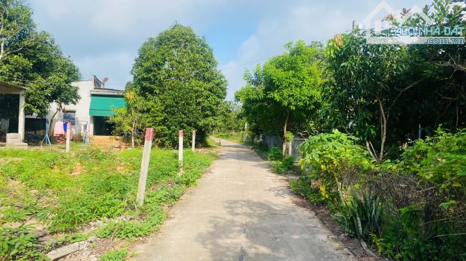 BÁN ĐẤT LÔ 2 QUỐC LỘ 55 – SƠN MỸ, HÀM TÂN – CHỈ 85TR/M NGANG - 4