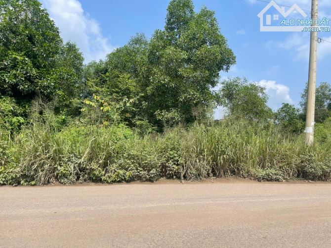 ♦️CẦN B.ÁN GẤP 9900m2 ĐẤT QUY HOẠCH SKC , CỤM CN VĨNH TÂN ,VĨNH CỬU ,ĐỒNG NAI ▪️DT : 9900m - 5