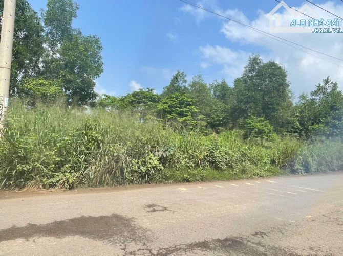 ♦️CẦN B.ÁN GẤP 9900m2 ĐẤT QUY HOẠCH SKC , CỤM CN VĨNH TÂN ,VĨNH CỬU ,ĐỒNG NAI ▪️DT : 9900m - 9