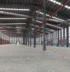 Cho thuê nhà xưởng 8000m2, 10.000m2, 12.000m2 tại KCN Hải Sơn, Tân Đức, Đức Hòa, Long An