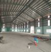 Cho thuê kho xưởng 1800m2 đường Nguyễn Hữu Trí nối dài, Bến Lức, Long An