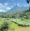 Đất siêu đẹp Mít Mái, Yên Bài, Ba Vì 1001m, lô góc, nở hậu, mt hơn 30m, view núi, 6.2tỷ