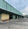 Cho thuê kho chứa hàng 6.000m2 Pccc vách tường trang bị đầy đủ tại Cần Thơ
