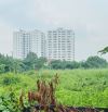 bán Đất Tây Lân, 9020m2, ngang 55x165m, ful thổ cư, đường nhựa 12m, giá 129 tỷ, giá TL
