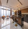 Bán quỹ CH rẻ nhất thị trường DT 133-152-164-182-191, 198m2 Dolphin Plaza,Trần Bình