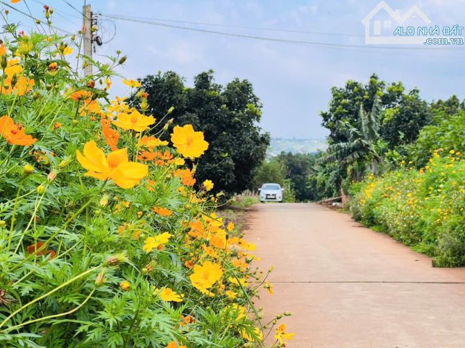 1090m2 ĐẤT NGHỈ DƯỠNG VIEW HỒ ĐÔNG THANH - CÁCH KDL MÊ LINH CHỈ 10P