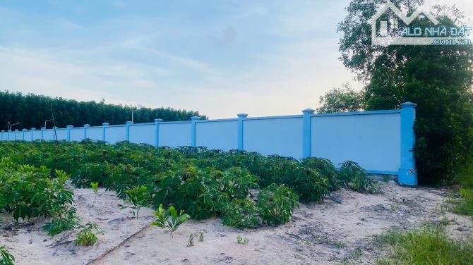 BÁN ĐẤT 2 MẶT TIỀN – GẦN ĐƯỜNG TÂN MINH – SƠN MỸ – CHỈ 1 TỶ CHO HƠN 4 SÀO