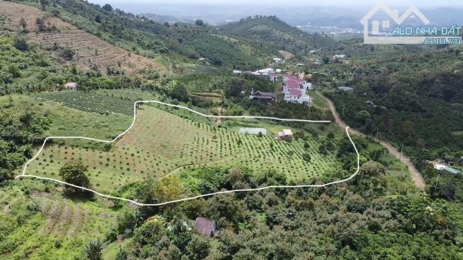 Bán vườn xã Lộc Thành, Bảo Lâm 👉 1ha4 ngay khu biệt thự cực lớn