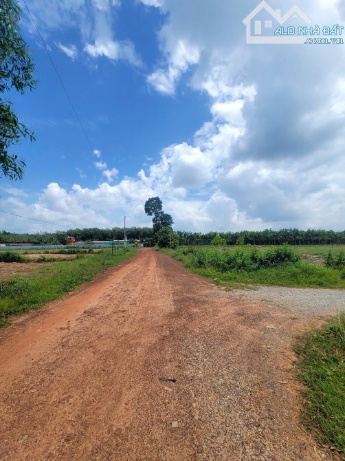 KẸT NỢ BÁN GẤP THỬ ĐẤT 9.600M2 Ở CHÁNH PHÚ HÒA BẾN CÁT- GIÁ CHỈ 1,8triệu/m2
