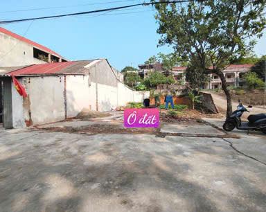 Bán đất 3 mặt tiền thôn Trại gà, Hướng Đạo, Tam dương. sử dụng 250m2
