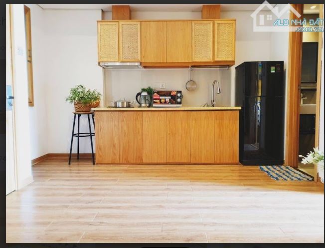 Cho thuê căn hộ 1pn xinh đường Lê thước, quận sơn trà, ban công thoáng, yên tĩnh, oto đỗ - 1