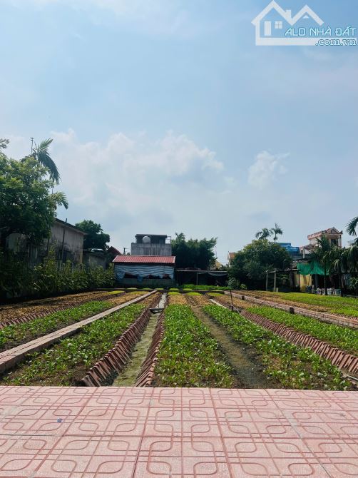 Chỉ hơn tỷ đầu tư đất biển Quất Lâm 95m2 MT5m ô tô kinh doanh cơ hội gia tăng tài sản - 1
