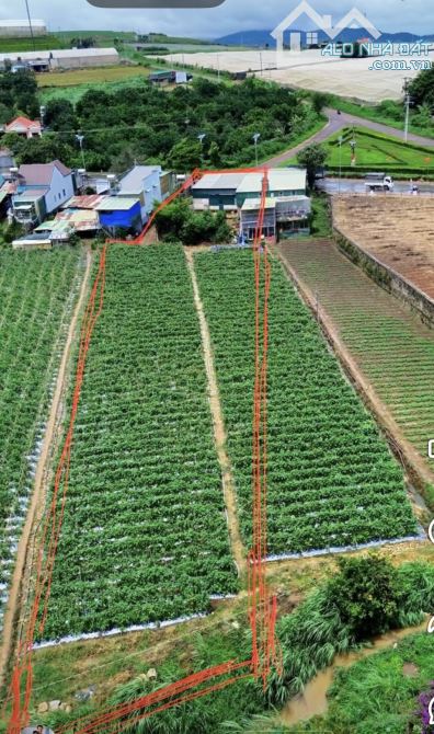Bán 1970m2 đất mặt tiền Quốc lộ 27, Đạ Ròn - Đơn Dương - 1