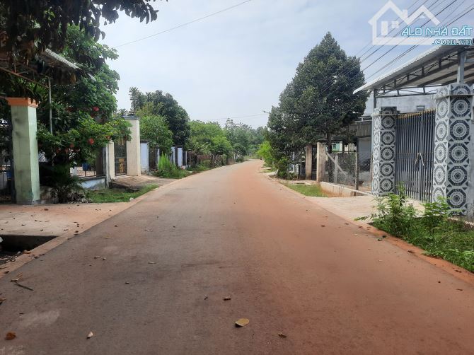 Đất trung tâm Dầu Tiếng đường nhựa thông dân full mà chỉ 1,2ty...Ace nhà đầu tư lh em họp - 1
