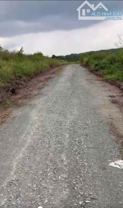 Bán 7,7ha đất Diên Thọ Diên Khánh cách Ql27C đi Đà Lạt chỉ 500m giá chỉ 208nghin/m2 - 1