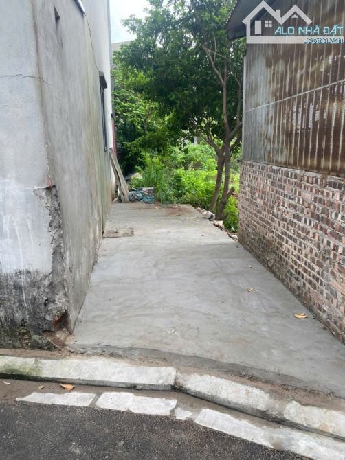 Bán đất Trâu Quỳ đường ô tô tránh - 1