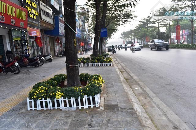 BÁN NHÀ MẶT PHỐ QUAN HOA – CẦU GIẤY – VỈA HÈ – KINH DOANH ĐỈNH – HÀNG HIẾM TRONG PHÂN KHÚC - 1